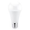 Bombilla Led Pa Alum. A65 E27 15w 5.000k