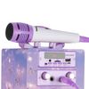 Altavoz Karaoke Con Microfono Luces Discoteca, Modelo 18 Dynasonic (3º Generación)