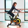 Bicicleta Spinning Estática Indoor Alpine 6000 Volante Inercia 10kg Consola Gridinlux