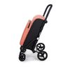 Carro De Compra Plegable 4 Ruedas Con Freno Urban Family Carlett