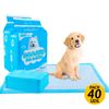 Pack 40 Empapadores Edipets Para Mascotas 90x60 Cm