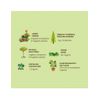 Cultivers Humus De Lombriz Ecológico 3 L Universal. Abono Para Plantas. Fertilizante Orgánico 100% Natural