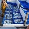 Caja Regalo La Vida De Los Pescadores En L'escala Barcelona