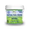 Pintura Para Césped Natural De Campos De Fútbol 4l Bricosalvaje