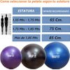 Pelota 65 Pilates Y Yoga Embarazadas Balon Ejercicios Gymball Bsfit