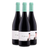 Pack 3 Uds. El Aprendiz Prieto Picudo 2019-vino Tinto Con 6 Meses De Barrica I.g.p. Castilla Y León, 75 Cl, 13,50% Vol.