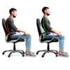 Cojín Lumbar Almohada Carbono Ergonómico Memoria Viscolástica Gridinlux