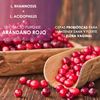 Healthy Fusion Probióticos Vaginales Para Mujer Microencapsulados | L. Rhamnosus Y L. Acidophilus + Extracto Puro Arándano Rojo | Combate Las Infecciones Vaginales Y Urinarias | Sabor Cereza 50u