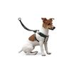 Arnés De Entrenamiento Easy Walker | Arnés De Adiestramiento Para Perros | Arnés Easy Walker Talla  Xl