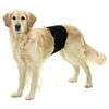 Pañal Para Perro Macho | Fajín Para Perro Macho | Pañal Fajín Talla Xl