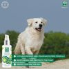 Menforsan Protector Solar Factor 50 Perros Y Gatos - 60 Ml | Oferta Exclusiva