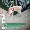 Menforsan Antiorines Contra Orines De Perros Y Gatos - 500 Ml | Oferta Exclusiva