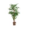 Planta Artificial Bambú 150 Cm Cm