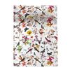 Colcha 100% Algodón Birds Of Paradise 180x260 Cm (cama 80/90) Multicolor