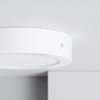 Plafón Led 12w Circular Ø170 Mm Blanco Cálido