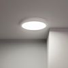 Plafón Led 24w Circular Metal Ø300 Mm Design White Blanco Neutro