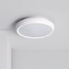 Plafón Circular Para Exterior Ø300 Mm Ip65 Curio Blanco Blanco