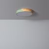 Plafón Led 18w Circular Madera Ø320 Mm Cct Seleccionable Semi-dari