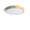 Plafón Led 24w Circular Madera Cct Seleccionable Ø418 Mm Semi-dari Verde Celadón