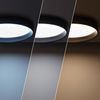 Plafón Led 30w Circular Metal Ø550 Mm Cct Seleccionable Negro Design Seleccionable (cálido-neutro-frío)