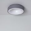 Plafón Led 15w Circular Metal Ø300 Mm Cct Seleccionable Wingu   Gris