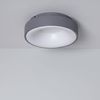 Plafón Led 15w Circular Metal Ø300 Mm Cct Seleccionable Wingu Gris