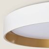 Plafón Led 30w Circular Metal Ø550 Mm Cct Seleccionable Big Broadwey Blanco / Oro