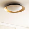 Plafón Led 30w Circular Metal Ø500 Mm Cct Seleccionable Taylor Negro / Oro