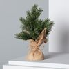 Árbol De Navidad Led Con Batería Pine Verde