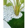 Canto Rodado Blanco Piedra De Mármol  25kg  Piedras Decorativas Para Jardín O Espacios Exteriores  20/40