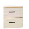 Cajonera De Ordenación Rattan De Plástico  Efecto Mimbre  Torre De Almacenaje Multiusos  2 Cajones (beige)jardin202