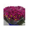 Margarita Crisantemo  Flor Natural  Crisantemo Bacardi  Ramo De 5 Tallos  70cm De Alto  Fuchsia