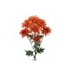 Margarita Crisantemo  Flor Natural  Crisantemo Bacardi  Ramo De 5 Tallos  70cm De Alto  Naranja