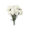 Clavel Colombiano  Flor Natural  Ramo De 20 Tallos  65cm De Alto  Blanco