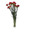 Clavel Colombiano  Flor Natural  Ramo De 20 Tallos  65cm De Alto  Rojo