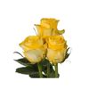 Rosas Variadas  Flor Natural  Ramo De 25 Tallos  60cm De Alto  Amarillas Brighton