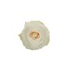 Rosas Variadas  Flor Natural  Ramo De 25 Tallos  60cm De Alto  Blancas Mondial