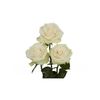 Rosas Variadas  Flor Natural  Ramo De 25 Tallos  60cm De Alto  Blancas Mondial