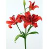 Liliums La  Flor Natural  Ramo De 10 Tallos  80cm De Alto  Rojo