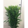 Liliums La  Flor Natural  Ramo De 10 Tallos  80cm De Alto  Rosa