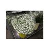 Paniculata  Flor Natural  Ramo De 25 Tallos  Blanco  80cm De Alto