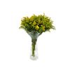 Solidago  Flor Natural  Ramo De 25 Tallos  Amarillo  80cm De Alto