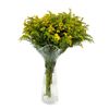 Solidago  Flor Natural  Ramo De 25 Tallos  Amarillo  80cm De Alto