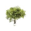 Lentisco  Flor Natural  Ramo De 50 Tallos  Verde  60cm De Alto