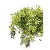 Lentisco  Flor Natural  Ramo De 50 Tallos  Verde  60cm De Alto