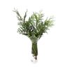 Thuja  Flor Natural  Ramo De 5 Tallos  Verde  60cm De Alto