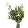 Thuja  Flor Natural  Ramo De 5 Tallos  Verde  60cm De Alto