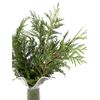 Thuja  Flor Natural  Ramo De 5 Tallos  Verde  60cm De Alto