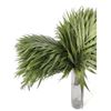 Chico Yumbo  Flor Natural  Ramo De 50 Tallos  Verde  50cm De Alto