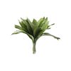 Aspidistras  Flor Natural  Ramo De 50 Tallos  Verde  70cm De Alto